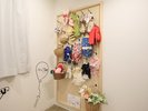 【フォトスポット】わんちゃん用の衣装も多数取り揃えております