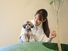 【屋内ドッグラン】写真映えも意識した造りのドッグランとなっております