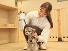 【フロント/貸出品】ワッペンでわんコミュニティを(フロントにて貸出中)