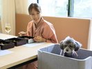 【レストラン】わんちゃんと一緒にお食事を楽しめます