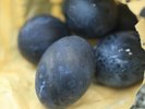◆大涌谷【ワンちゃん同伴可】名物黒たまご:食べると寿命が延びるとも言われています。当施設車10分。