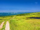 【夏の月山弥陀ヶ原湿原】当館から車で約1時間半。トレッキングやハイキングが楽しめる自然豊かな場所