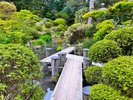 【本間美術館「清遠閣」】当館から車で約30分。ミシュラン二つ星庭園。春は桜、秋は紅葉が楽しめます。