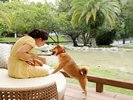 ペット(愛犬)可の温泉露天風呂付き客室のテラスのイメージ