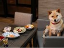 全席ペット(愛犬)同伴可のレストランで楽しむ創作和食会席イメージ