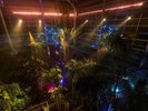 熱帯植物館ライトアップ