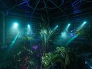 熱帯植物館ライトアップ