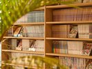 りんねの湯 漫画・雑誌コーナー
