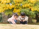 園内中央には、お子様も走り回って遊べるような広い芝生エリアがございます。