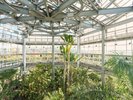 熱帯植物館内観