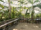 熱帯植物館内観