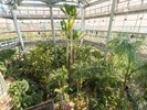 熱帯植物館内観