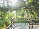 熱帯植物館内観