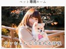 【小〜中型犬・2匹迄料金内】専用ペットプランで愛犬と函館旅へ♪専用の洋室・和室をご用意しております。