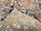【源泉100%の証】天然温泉成分「湯の花」が舞う、生きた温泉です。
