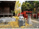 ☆湯倉神社〜徒歩約7分☆湯の川温泉発祥の地!「なでうさぎ」や「イカすおみくじ」が人気♪☆アニメの聖地