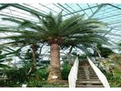 ☆湯の川植物園〜徒歩約15分・車で約4分☆熱帯植物が一年中楽しめて、ご家族連れにも大人気☆