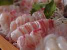 海の恵みの海幸をそのままに。