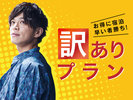 訳アリプラン