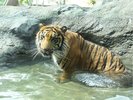 東山動植物園