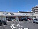 【周辺情報】ドラッグストア徒歩5分