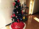 玄関で、クリスマスツリーがお出迎え!