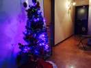 玄関でクリスマスツリーがお出迎え!