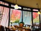 紅葉を見ながら朝食をどうぞ!