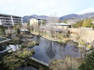 【客室温泉付き・ガーデンビュー和洋】<冬>中庭の景色をお楽しみください
