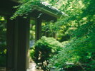 四季折々の景観をお楽しみください