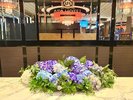 初夏装飾を行っております♪