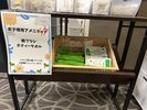 お子様用アメニティ(歯ブラシ・スポンジ)
