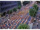 さんさ踊り。(画像提供:岩手県公式観光ガイド)