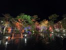 夜の庭園