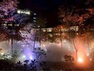 幻想的なライトアップと雲海