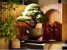 Yugao Terrace
