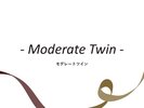 客室紹介(モデレートツイン)