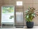 夏季限定・日傘もご用意しています。小石川後楽園の散策に♪