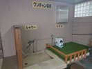 1階わんちゃん専用シャワー。