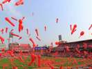 【マツダスタジアム球場】フレッサインに泊まって「Les't enjoy Baseball !」