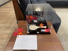 2Fロビーにて、「しゃもじとヘラ」展示中!