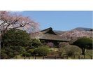 秩父宮記念公園