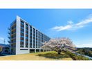 外観裏手 桜と一緒に
