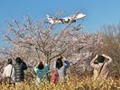 近隣観光施設:空の駅さくら館(車で約10分)