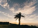 夕暮れ時の風景