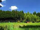 �u�₩�ȕ����S�n�悢�ł������X���͂̕��i��
