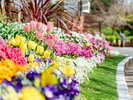 【周辺観光/福岡市植物園】季節の花が彩り約2600万種類19万本の様々な植物を展示/写真提供:福岡市