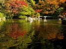 【周辺観光/友泉亭公園(秋)】約3,000坪の池泉廻遊式日本庭園は昭和56年に開園/写真提供:福岡市