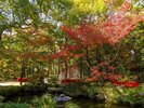 【周辺観光/楽水園(秋)】博多駅近くのオフィス街の一画にある日本庭園/写真提供:福岡市