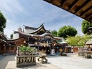 【周辺観光/櫛田神社】博多の総鎮守お櫛田さん、長寿延命のシンボルと御神木も見どころ/写真提供:福岡市